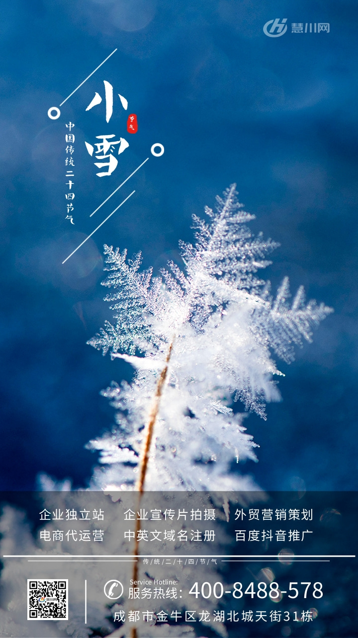 简约大气小雪节气手机海报.jpg