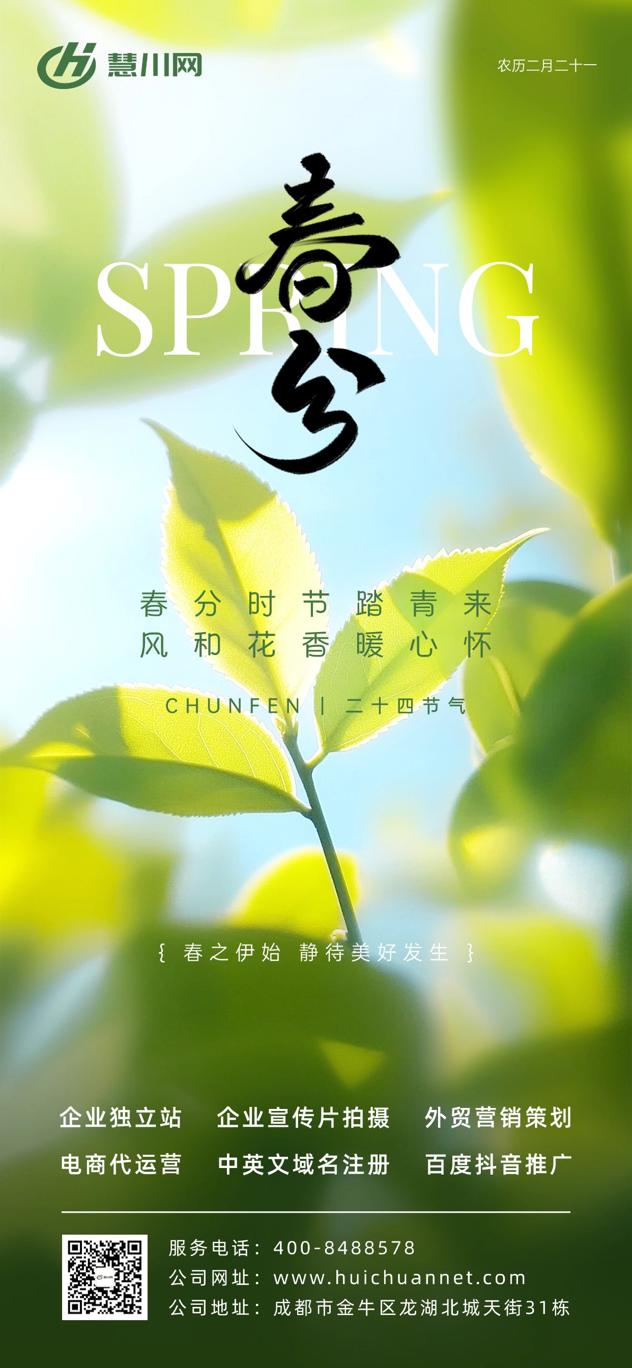 T241204149469上传文件.jpg