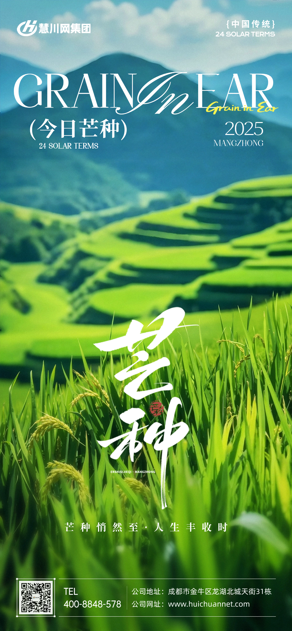 1芒种.png