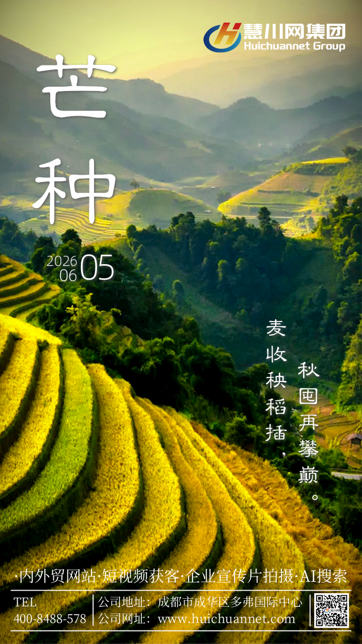 二十四节气芒种简约实景.png